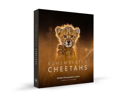 Remembering Cheetahs - HPH Publishing South Africa