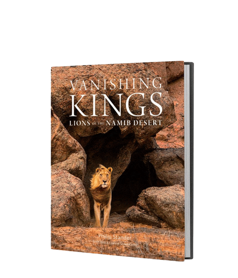 Vanishing Kings - Standard Edition - HPH Publishing South Africa