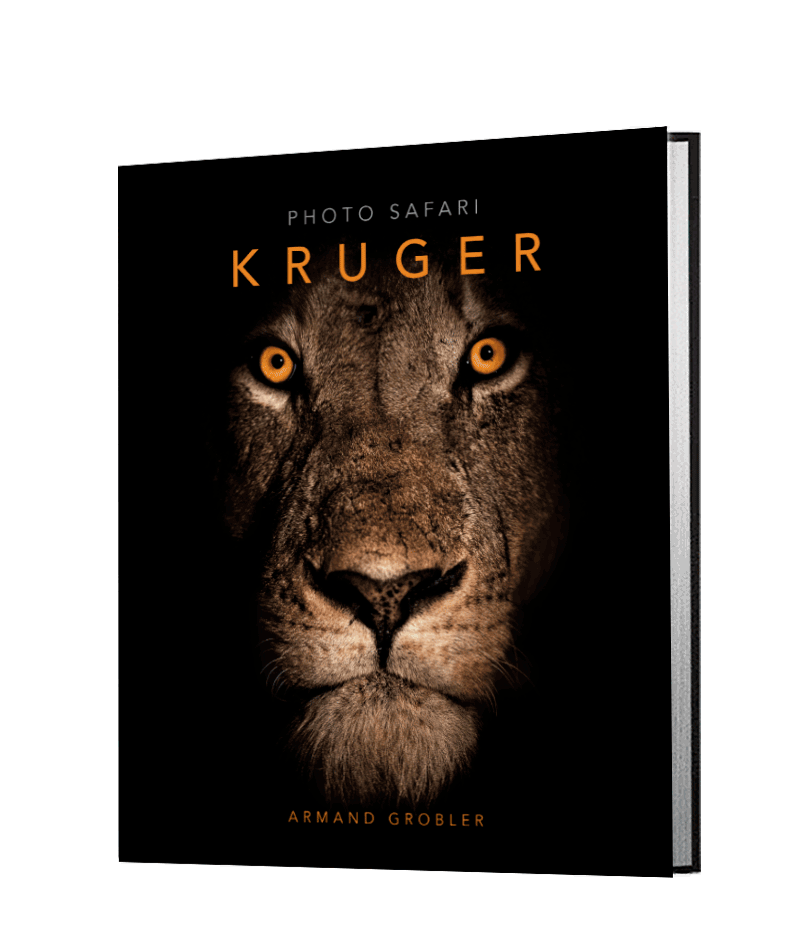 Photo Safari – Kruger