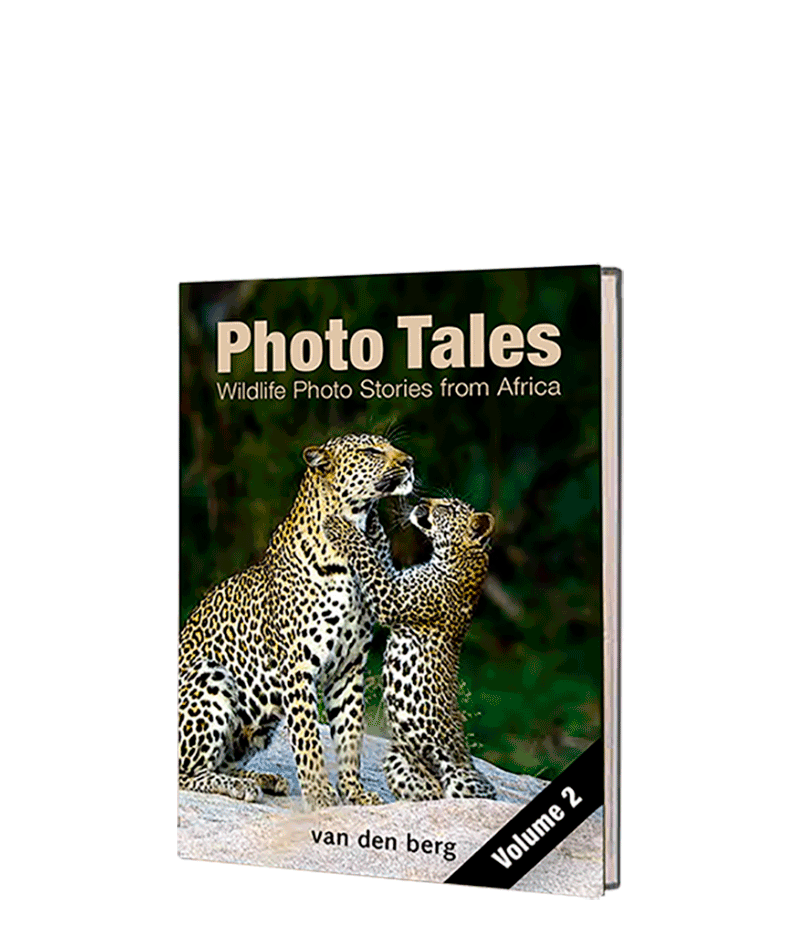 Photo Tales - Volume 2